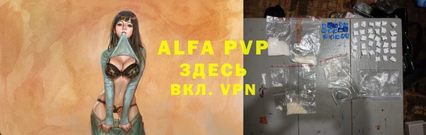 индика Балабаново