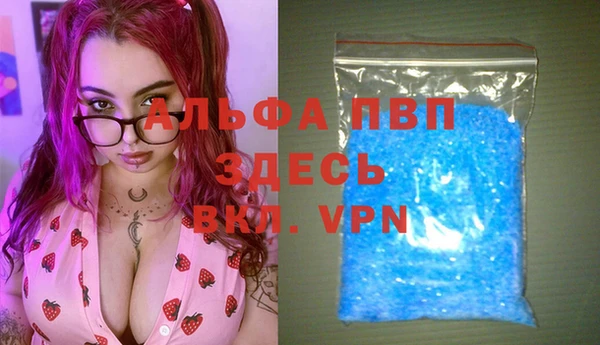 индика Балабаново