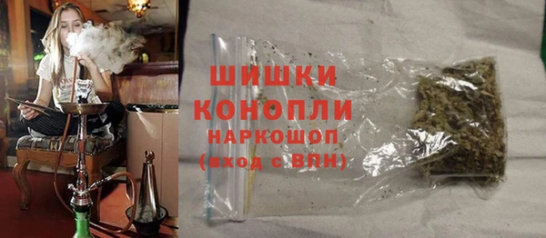 индика Балабаново