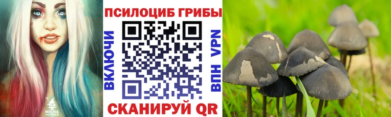 Галлюциногенные грибы MAGIC MUSHROOMS  Зверево 